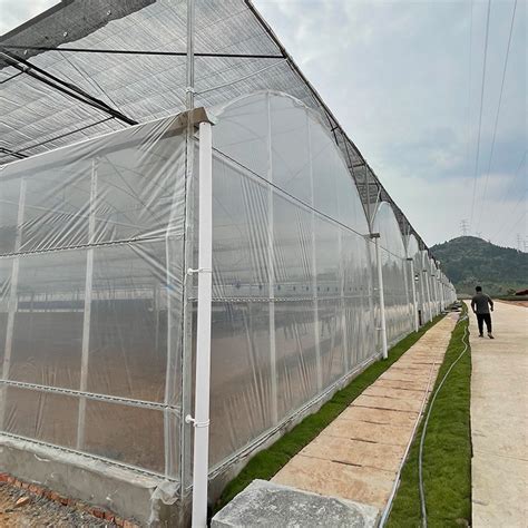 Agriculture Plastic Film Tunnel Greenhouse High Tunnel Multi Span