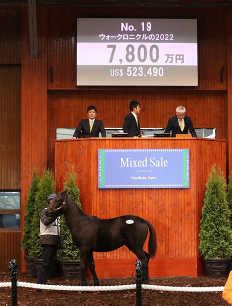 【ミックスセール】ダービー馬ドウデュース半弟は8600万円、当歳上場38頭すべて落札／詳細 競馬ライブ速報 日刊スポーツ