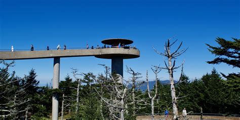 Clingmans Dome | Outdoor Project