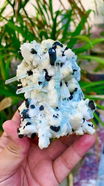 Muhammad Majid On Instagram Minerals AQUAMARINE With SCHORL