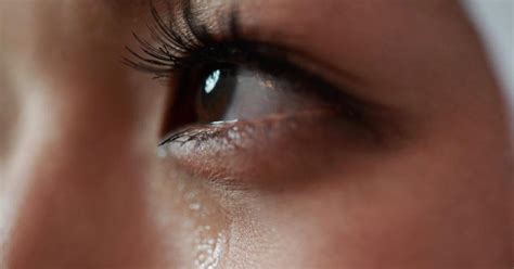 Scientists grow human tear glands in a lab and actually make them cry ...