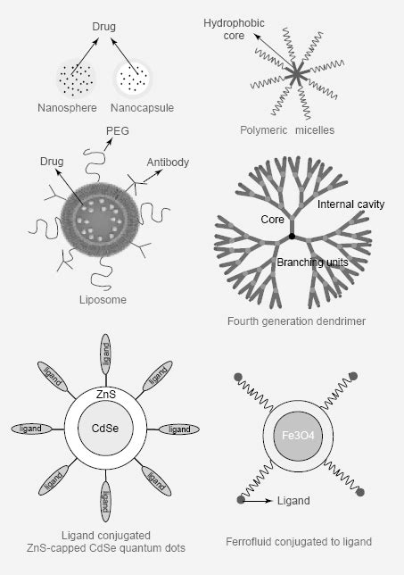 Schematics Of Different Nanotechnology Based Drug Delivery Systems