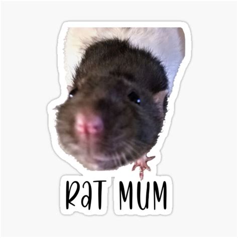 Rat Mum Sticker For Sale By Aimeetregunno Redbubble