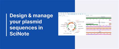 Sequence Editor - Design and Manage Your Plasmid Sequences Within ...