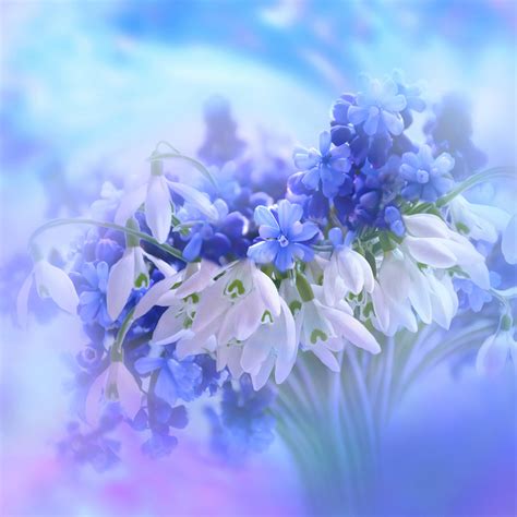 Blue flowers Wallpaper 4K, Hyacinth, White, Blossom