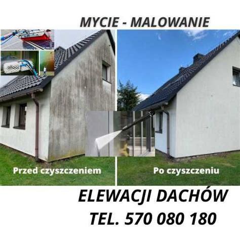 Mycie Czyszczenie Malowanie Renowacja elewacji dachów kostki brukowej