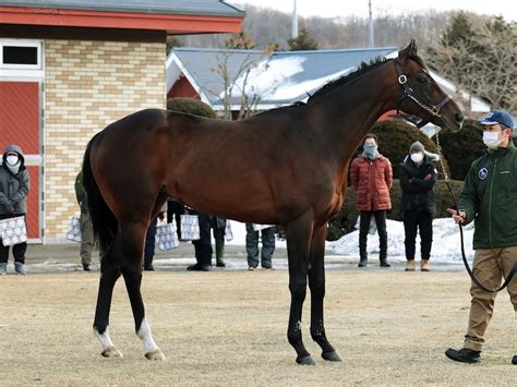 フィエールマン 初年度は107頭に種付け ぐりぐり君の個人馬主ブログ