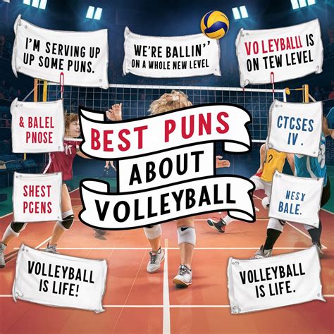 285 Hilarious Volleyball Puns Jokes And One Liners