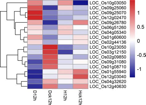 Hierarchical Cluster Analysis Of Gene Expression Based On Expression