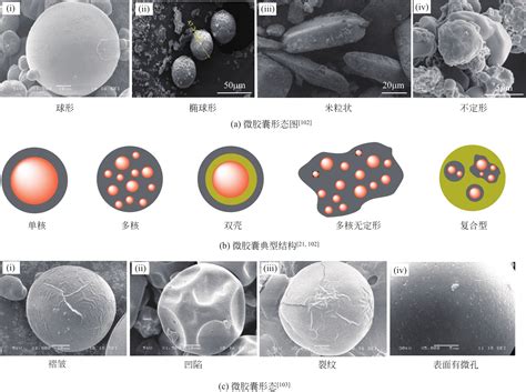 微胶囊相变材料制备与应用研究进展