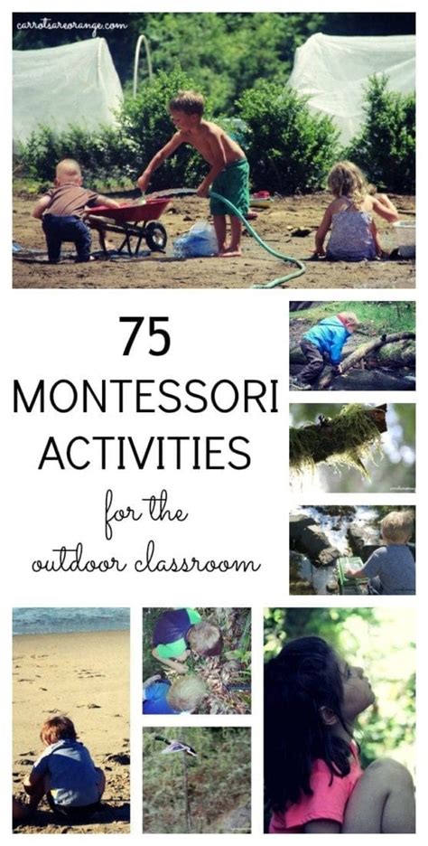 Outdoor Classroom Ideas: 75+ Rock Star Ideas for Your Learning