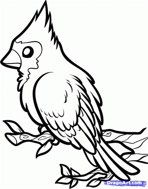 Cardinal Coloring Pages Coloring Home