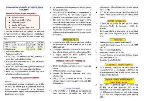 Indicadores Y Situaci N Del Adulto Joven En El Per Nursing Cvc Udocz