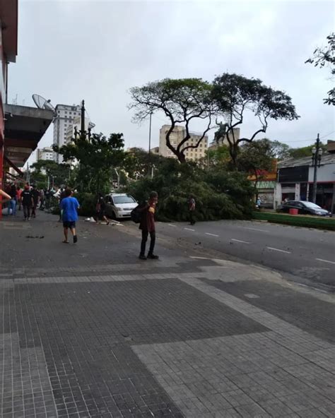 V Deo Fortes Ventos Derrubam Rvore Em Avenida No Centro De Sp