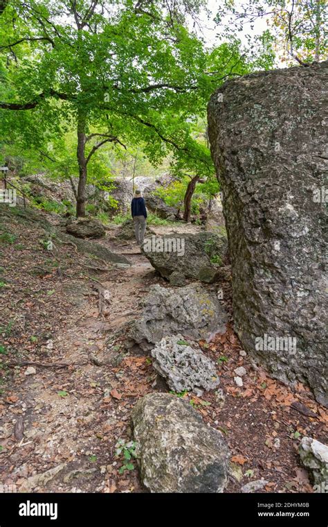 Zone Naturelle De Létat Des érables Perdus Banque De Photographies Et