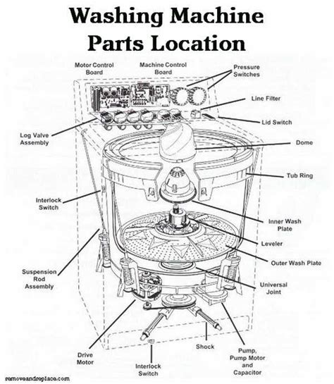 The Complete Guide To Understanding Acorn Wash Fountain Parts A