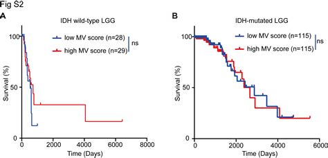 Idh Mutation Status Is Associated With Distinct Vascular Gene