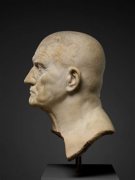 Roman Busts Met Museum