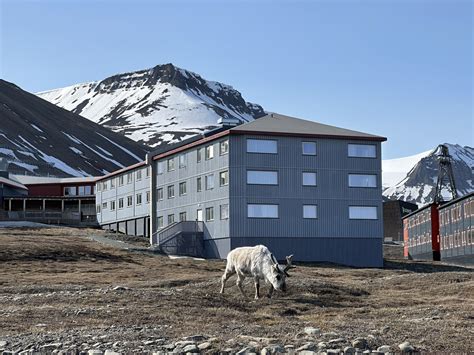 Longyearbyen: 10 curious facts this remote Norway town