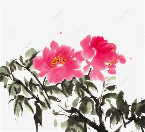 Red Peony Flower Ink Bloom Flowers PNG Transparent Clipart Image And