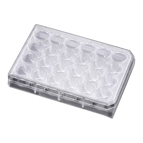 Falcon Cell Culture Insert Companion Plate With Lid Tc Treated