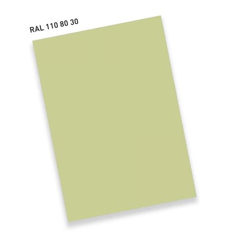 RAL D4 Single Sheet A4 Hue 110 80 30 Springtide Green