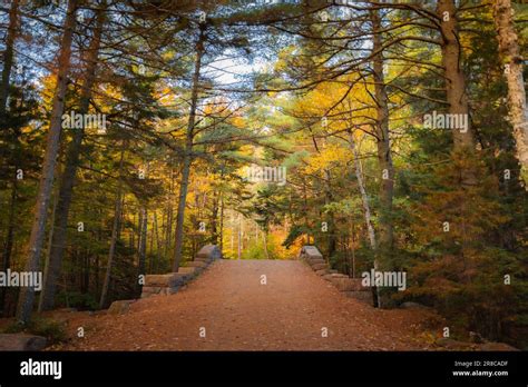 Acadia National Park Bike Path In Fall Near Bar Harbor Maine Stock