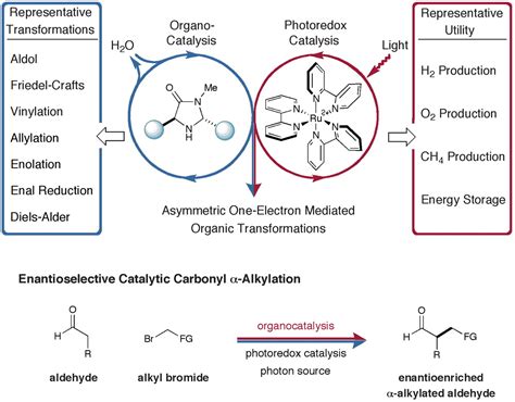 Merging Photoredox Catalysis With Organocatalysis The Direct