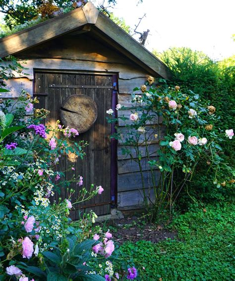 How to get rid of groundhogs under your shed | Homes & Gardens