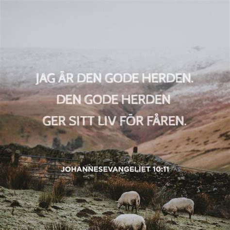 Johannesevangeliet Jag R Den Gode Herden Den Gode Herden Ger