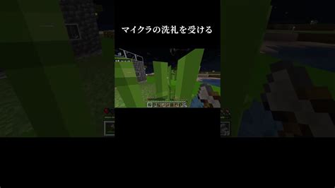 久しぶりにマイクラしたらモブにボコボコにされるかと思った マイクラ Minecraft Shorts マイクラ（minecraft