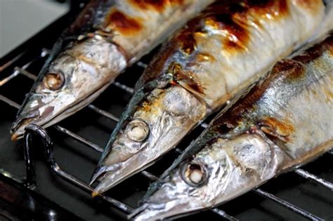 秋の味覚サンマの漁獲高が減少の見通し食卓への影響は？ ライブドアニュース