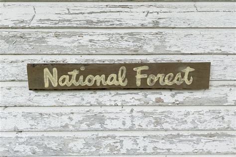 Custom National Forest Sign National Park Sign Custom - Etsy | National ...