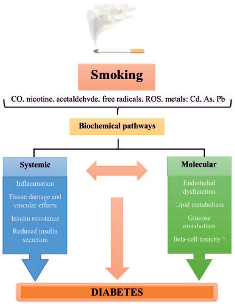 The Impact Of Smoking On The Development Of Diabetes And Its