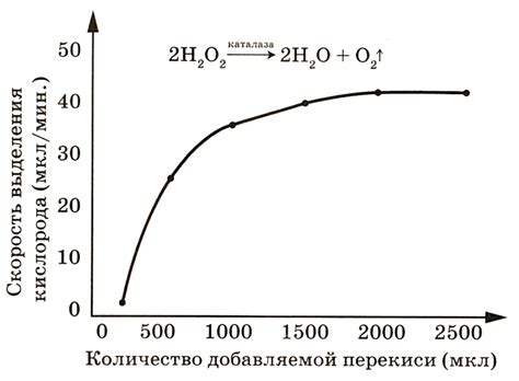 Задания 22 и 23. Методология эксперимента. Нулевая гипотеза