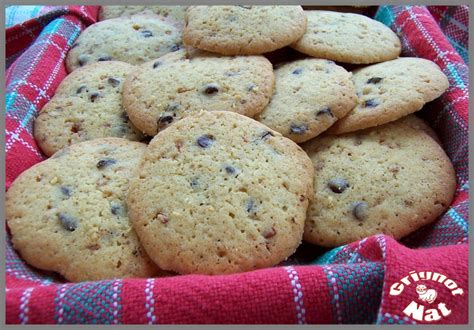 Cookies Au Chocolat Noir Et Pralin Grignot Nat