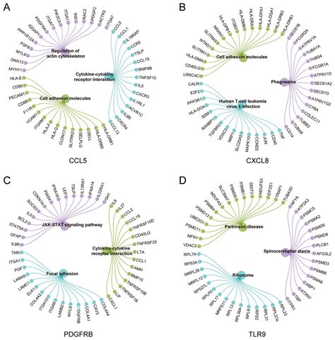 Discovery Of Grey Matter Lesion Related Immune Genes For Diagnostic