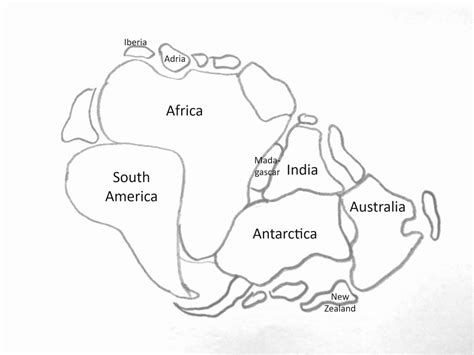 gondwana snowball earth   cambrian explosion  life