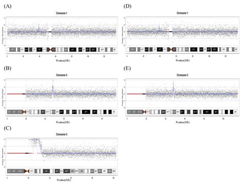 Cnv Seq Analysis Of The Proband S Blood Shows The Result Of