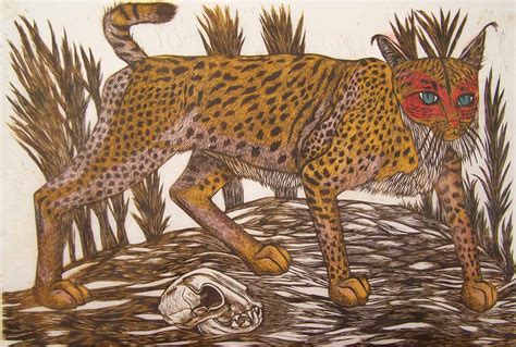 Iberian Lynx