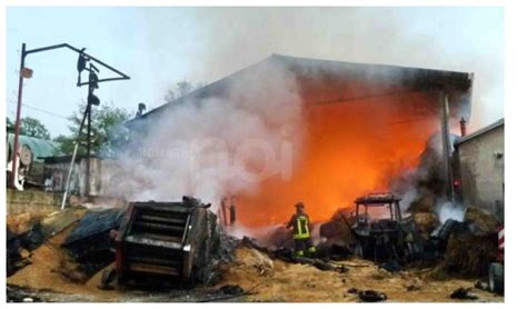 Prata Sannita Incendio In Una Nota Azienda Agricola Belvederenews