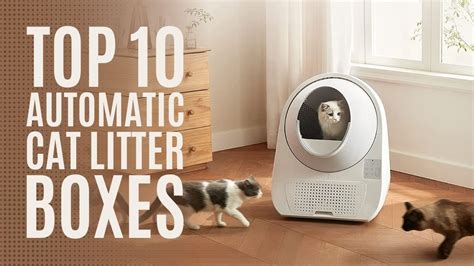 Top 10 Best Self Cleaning Cat Litter Boxes In 2023 Automatic Cat