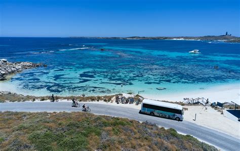 Rottnest Island Tourist Information Travel Guide