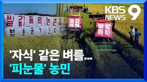 “쌀값 보장하라”추수 앞둔 논 갈아엎은 성난 농심 Kbs 20220921 Youtube