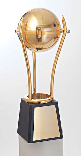 T Cricket Trophy At Best Price In New Delhi Samrat Metal Lasers