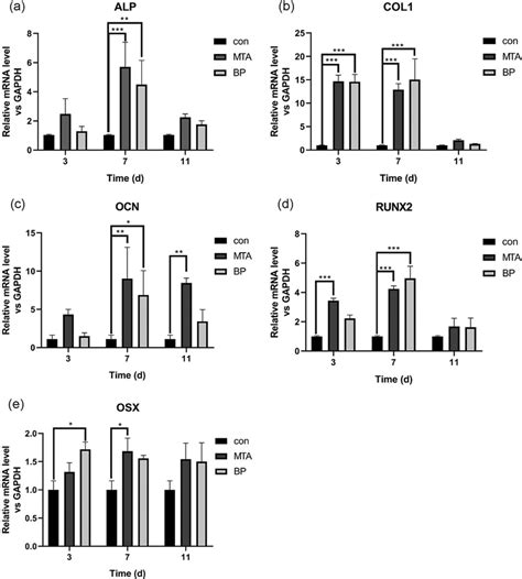 Mrna Expression Levels Of Alp A Col B Ocn C Runx D And