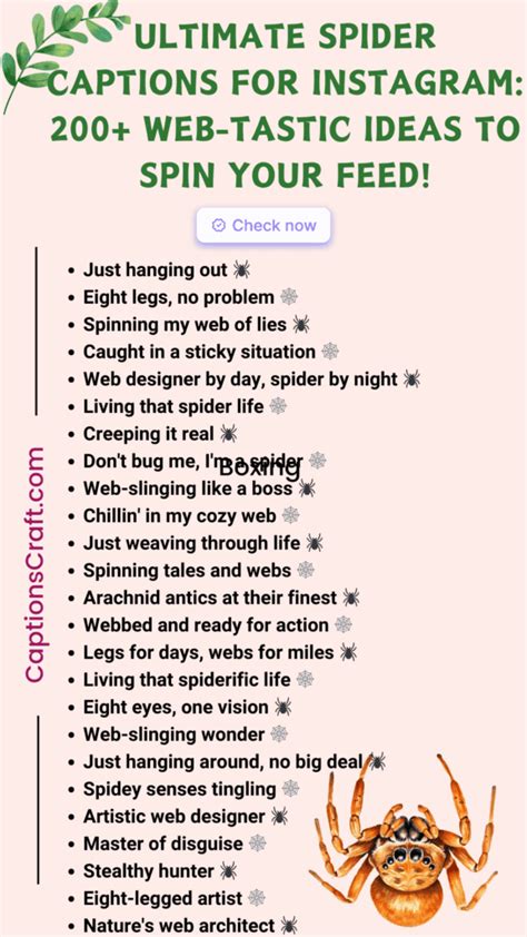Ultimate Spider Captions For Instagram Web Tastic Ideas To Spin