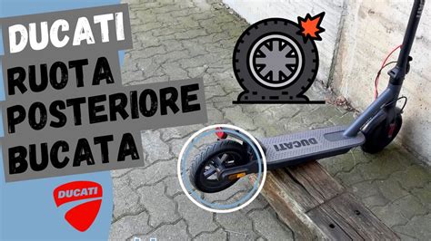 Ruota Posteriore Bucata Ducati Pro I Evo YouTube