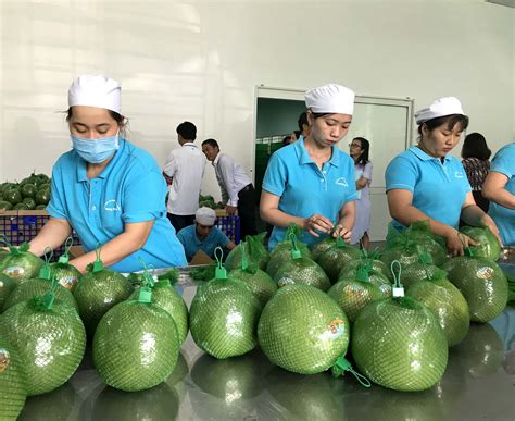 Vietnams Fruit And Vegetable Export Surpassed 4 Billion Usd Mark