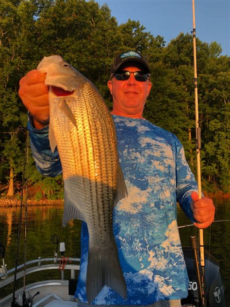 Lake Oconee Fishing Report 7 June 2019 - Lake Oconee Fishing Guides